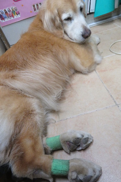 ファイル 6297-4.jpg