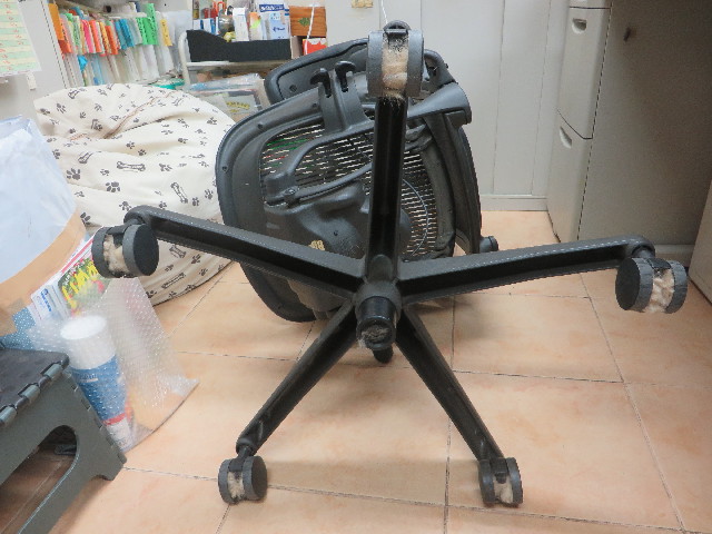 ファイル 6298-3.jpg