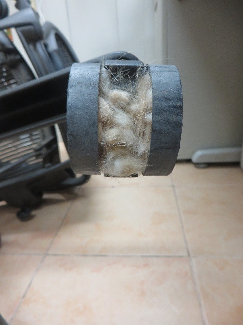 ファイル 6298-4.jpg