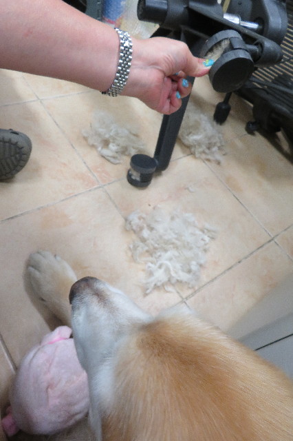 ファイル 6298-5.jpg