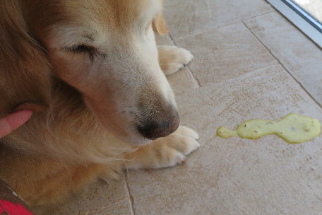 ファイル 6299-1.jpg