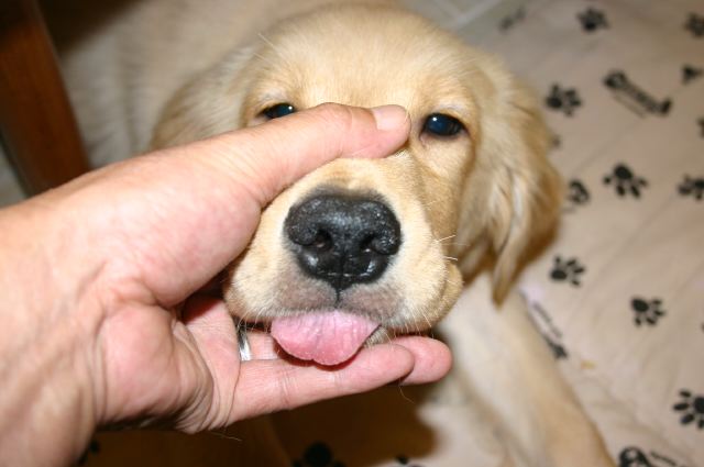 ファイル 63-3.jpg