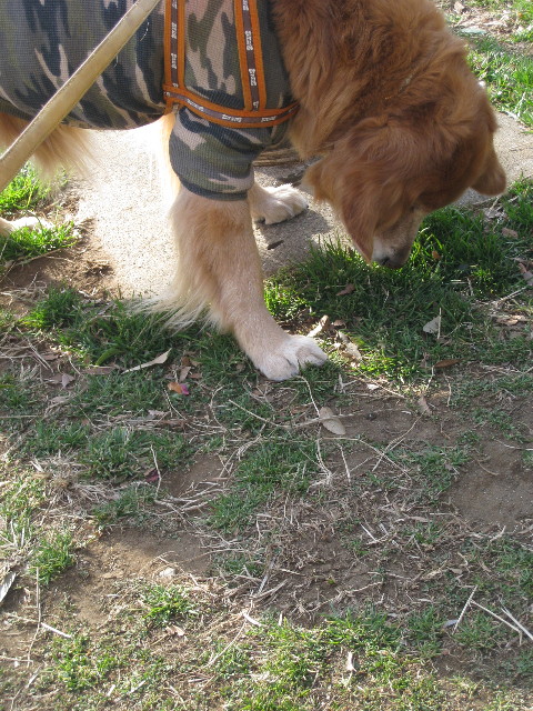 ファイル 630-4.jpg