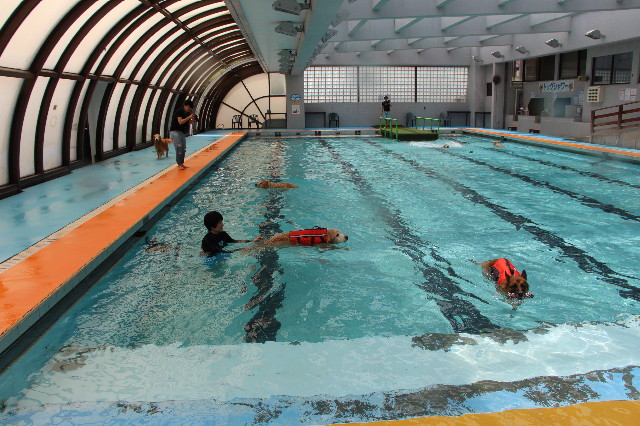 ファイル 6300-1.jpg