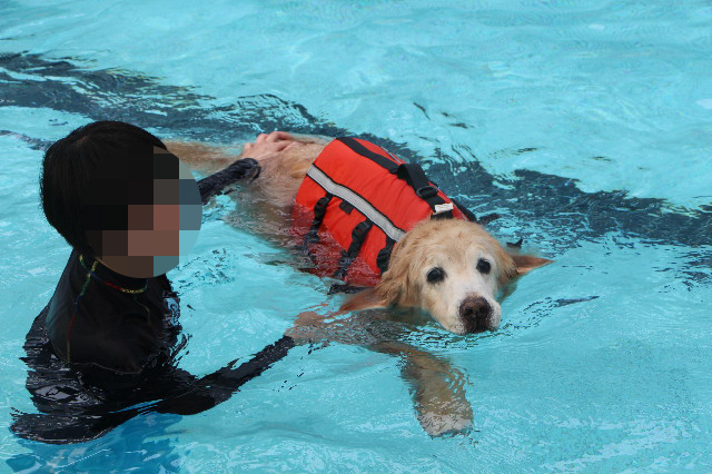 ファイル 6300-2.jpg