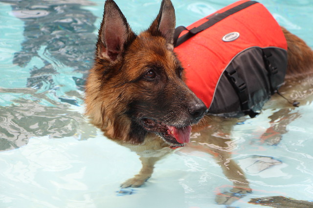 ファイル 6300-3.jpg