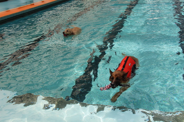 ファイル 6301-2.jpg