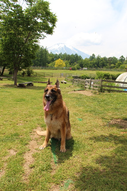 ファイル 6302-1.jpg