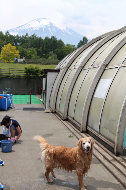 ファイル 6302-2.jpg