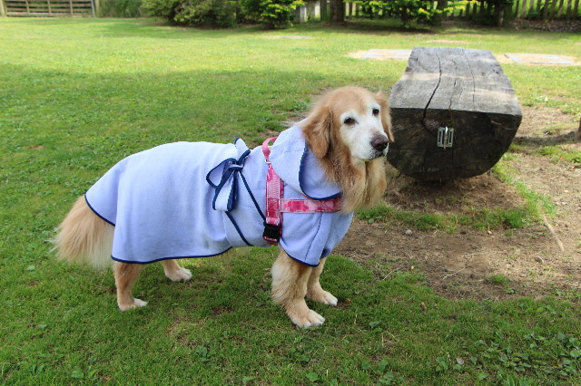 ファイル 6302-4.jpg