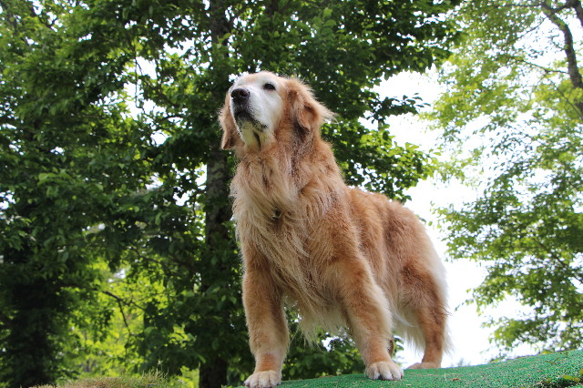 ファイル 6302-5.jpg