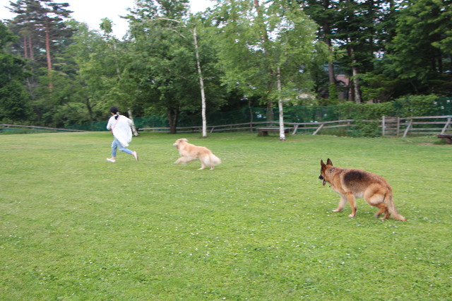 ファイル 6303-3.jpg