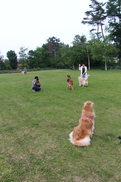 ファイル 6304-2.jpg