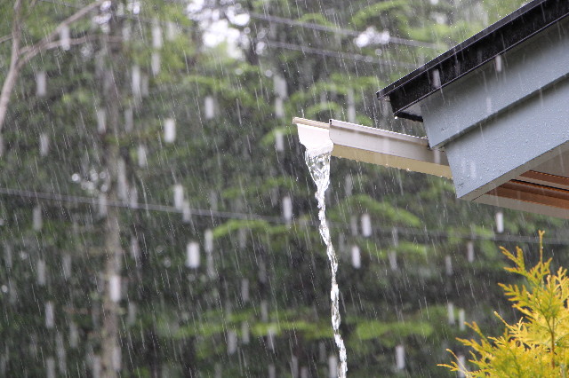 ファイル 6305-1.jpg