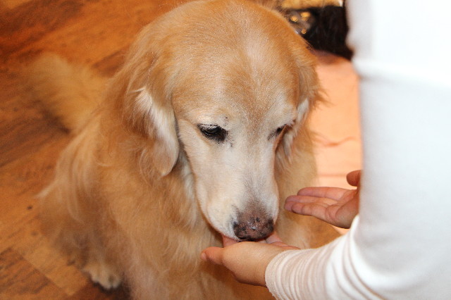 ファイル 6305-3.jpg