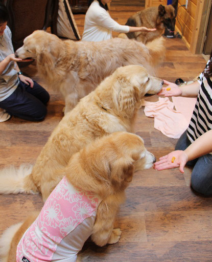 ファイル 6305-4.jpg