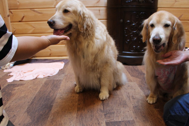 ファイル 6305-5.jpg