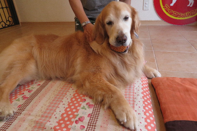 ファイル 6307-3.jpg