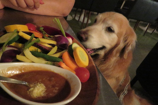 ファイル 6308-1.jpg