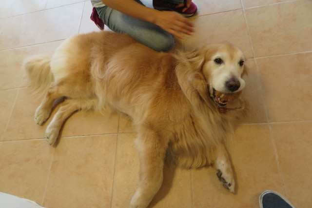 ファイル 6308-5.jpg