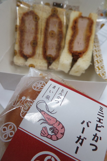 ファイル 6309-5.jpg