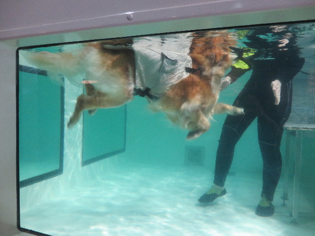 ファイル 6312-3.jpg