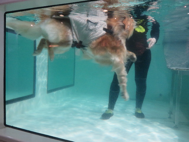 ファイル 6312-4.jpg