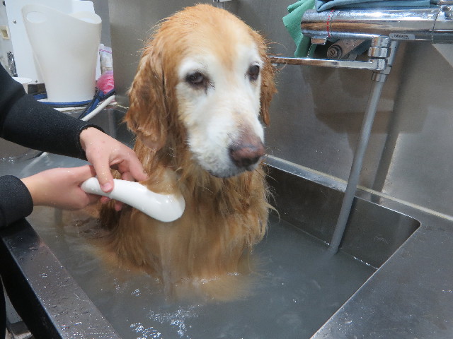 ファイル 6312-5.jpg