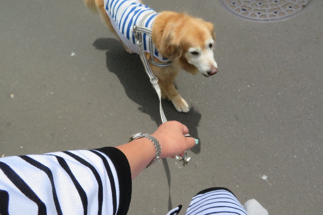 ファイル 6313-3.jpg