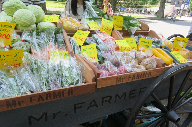 ファイル 6313-4.jpg