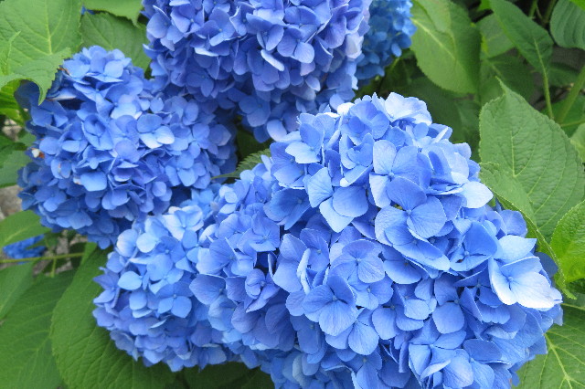 ファイル 6314-3.jpg