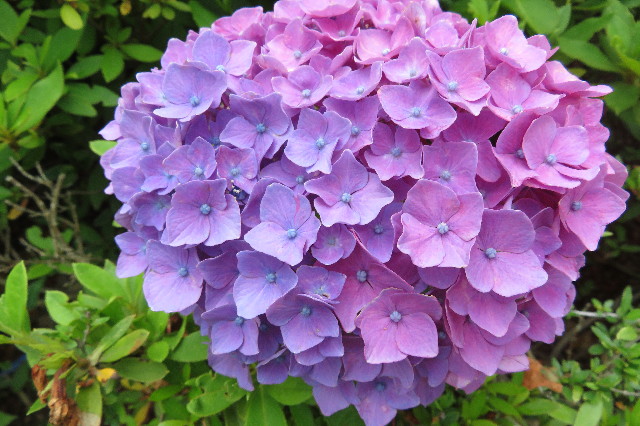 ファイル 6314-4.jpg