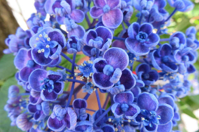 ファイル 6315-1.jpg