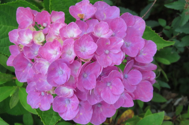 ファイル 6315-5.jpg