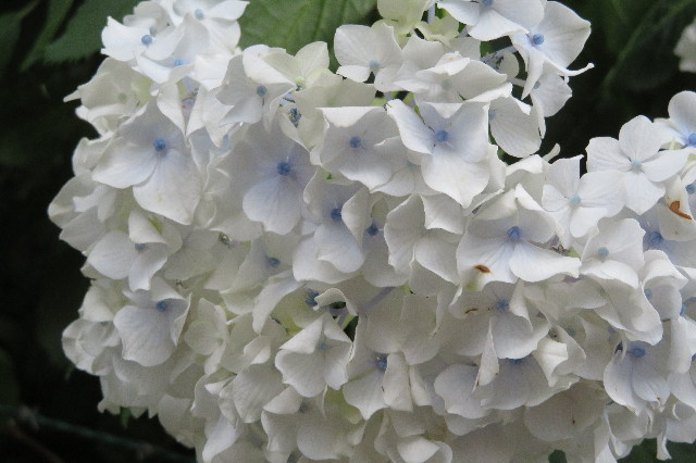 ファイル 6316-2.jpg