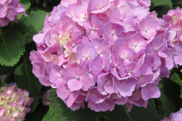 ファイル 6316-4.jpg