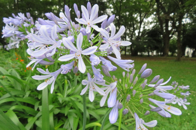 ファイル 6317-4.jpg