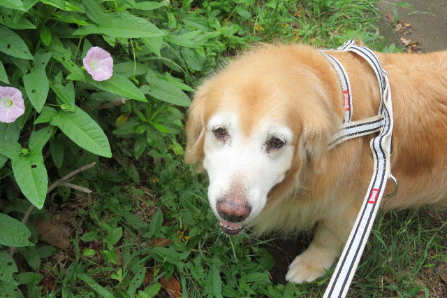 ファイル 6319-2.jpg