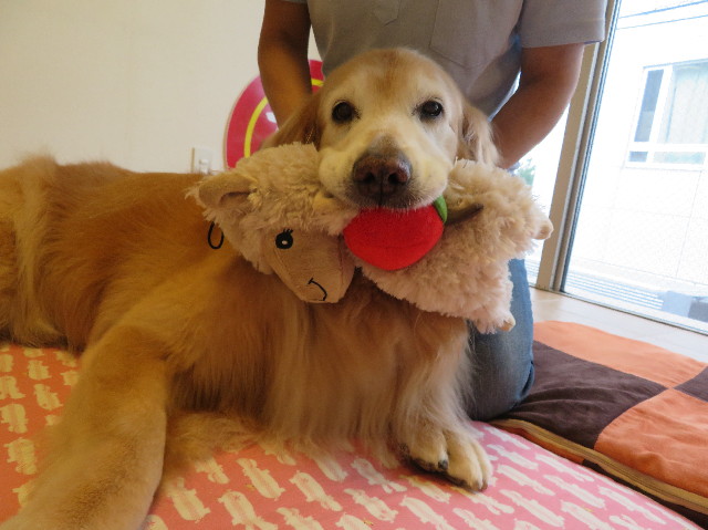 ファイル 6319-3.jpg