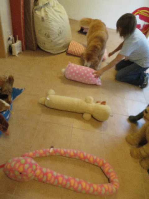 ファイル 6319-4.jpg