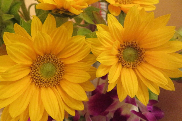 ファイル 6320-1.jpg