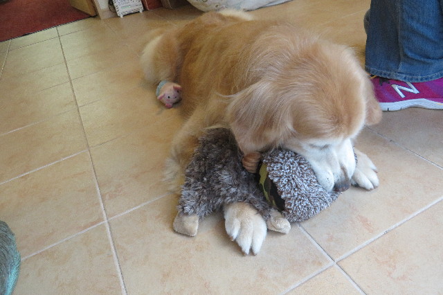 ファイル 6320-5.jpg