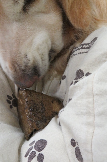 ファイル 6322-3.jpg