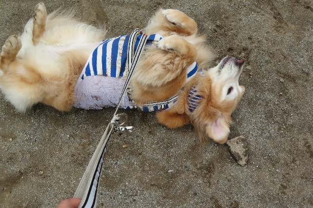 ファイル 6323-2.jpg