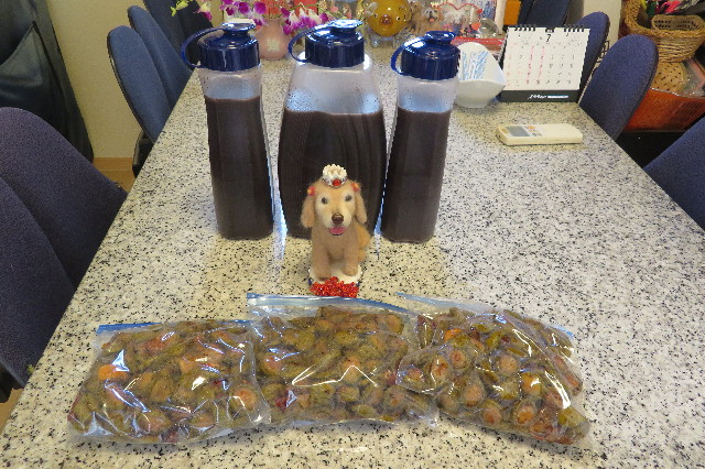 ファイル 6323-4.jpg