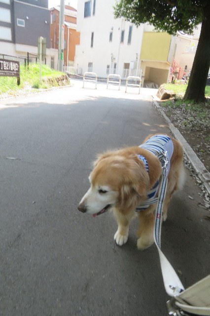 ファイル 6330-2.jpg