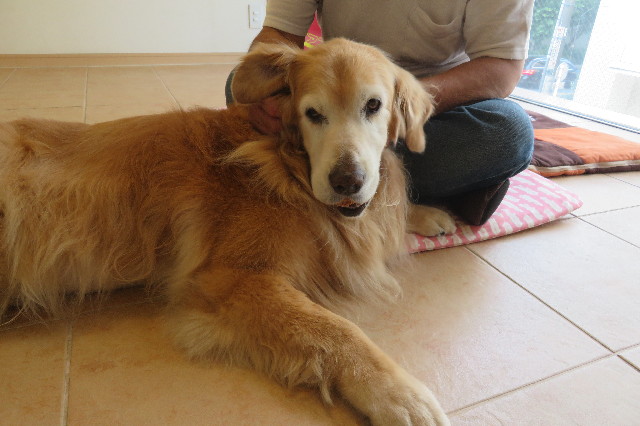 ファイル 6330-3.jpg