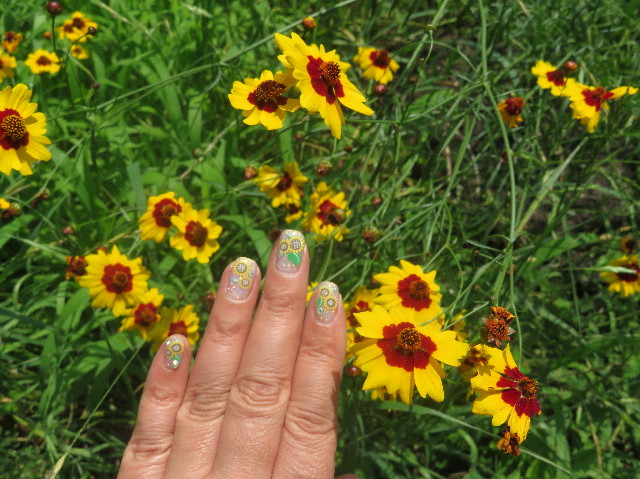 ファイル 6331-3.jpg