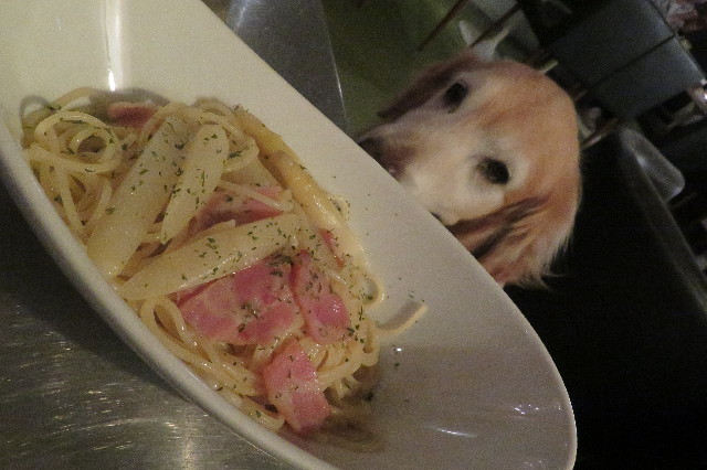 ファイル 6334-2.jpg