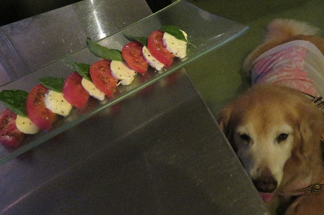 ファイル 6334-3.jpg